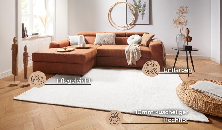Immagine prodotto Hanse Home Supersoft (170 x 120 cm)