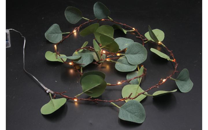 Produktbild GuGus Eukalyptus Blätter (0.30 m)