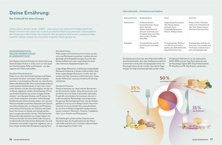 Actual product image Neustart Ernährung (German, Johannes Krahforst, Julia Klein, Katrin Winner, Melanie van Bentum, 2025)
