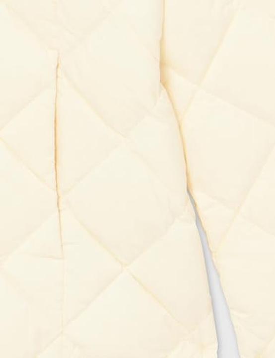 Actual product image Tommy Hilfiger Donsjack Classics Winter (M)