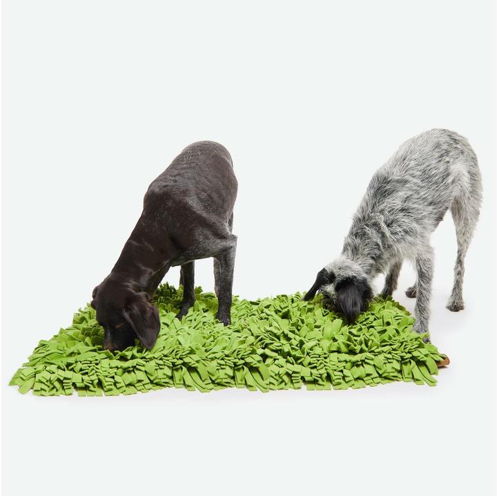Produktbild Knauder's Best Hunde-Spielzeug Schnüffelrasen XL 90 x 70 cm (Kauspielzeug Hund)