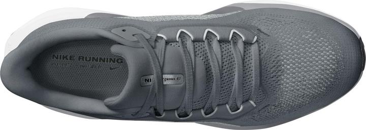 Produktbild Nike Pegasus 41 (45.5)