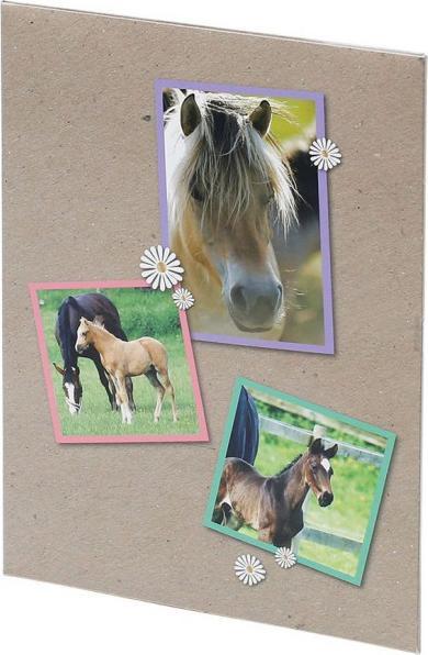 Produktbild Rössler Kinder-Papeterie Pferde (165 x 235 mm)
