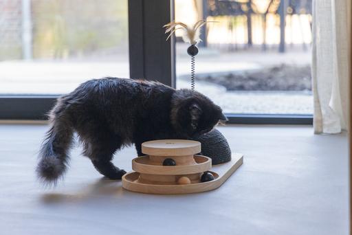 Produktbild Designed by Lotte Holz Kratz- und Spielturm (Kratzspielzeug Katze)