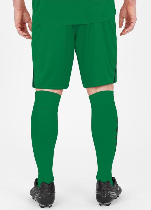 Actual product image JAKO Sports Pants Challenge (L)