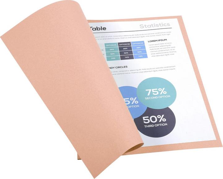 Produktbild Exacompta Sammelmappen - Aktendeckel (24 x 32 cm, 100 x)