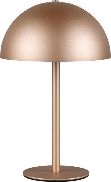 Actual product image Reality Munoz (120 lm)