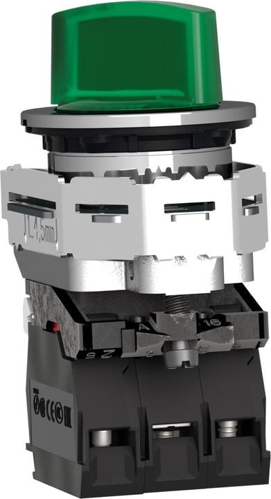 Actual product image Schneider Electric Illuminated selector switch complete XB4F 30mm1S+1OE XB4FK123G5