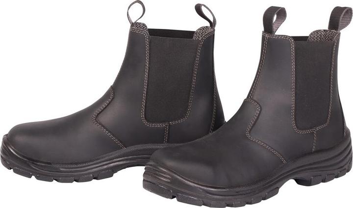 Image du produit Harry's Horse Chaussure de sécurité (37)