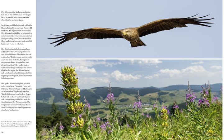 Produktbild Naturerlebnis Wilder Schwarzwald (Deutsch, Gaby Hufler, Norbert Daubner, 2014)