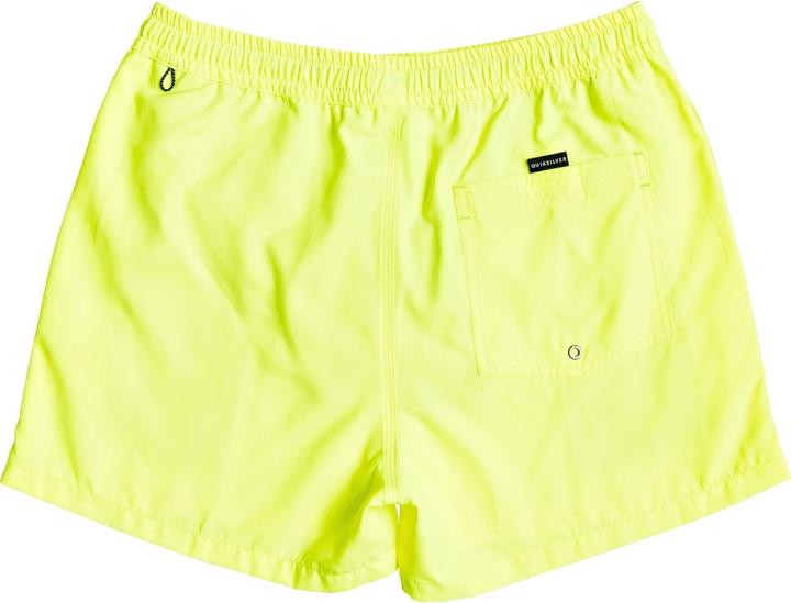 Actual product image Quiksilver Everyday Volley 15 (L)