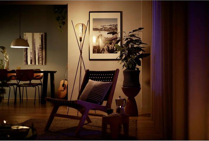 Actual product image Philips Professional Classic Gigant (E27, 470 lm, 1x)