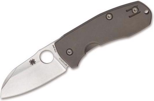 Immagine prodotto Spyderco Techno 2 C158TIP2 coltello pieghevole (6.50 cm)