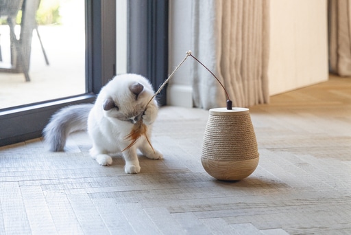 Immagine prodotto Designed by Lotte Tumble Mae (Catmint giocattolo)