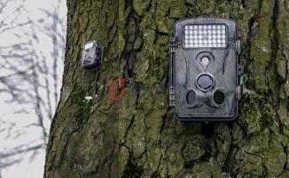 Actual product image Redleaf Trail camera RD1000