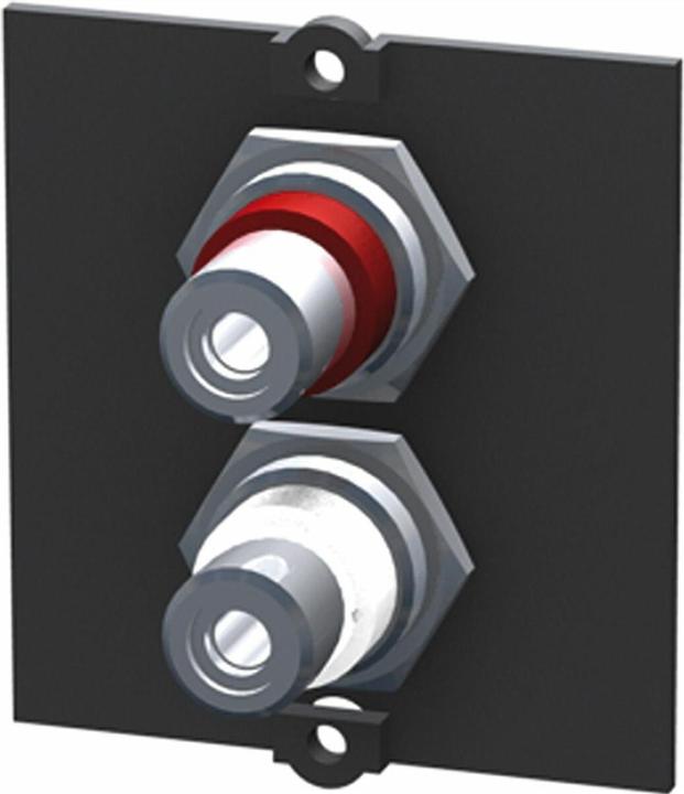 Immagine prodotto Bachmann Interfacce/adattatori per cavi RCA RCA