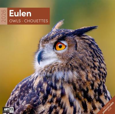 Produktbild Eulen Kalender 2026 - 30x30 (30 x 30 cm, Harter Einband, Deutsch, Französisch, Englisch)