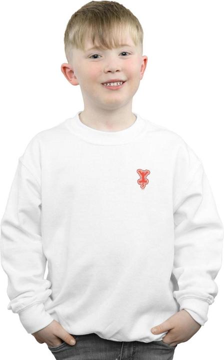 Image du produit Disney - Sweat WINNIE THE POOH TIGGER CHEST - Garçon (116)