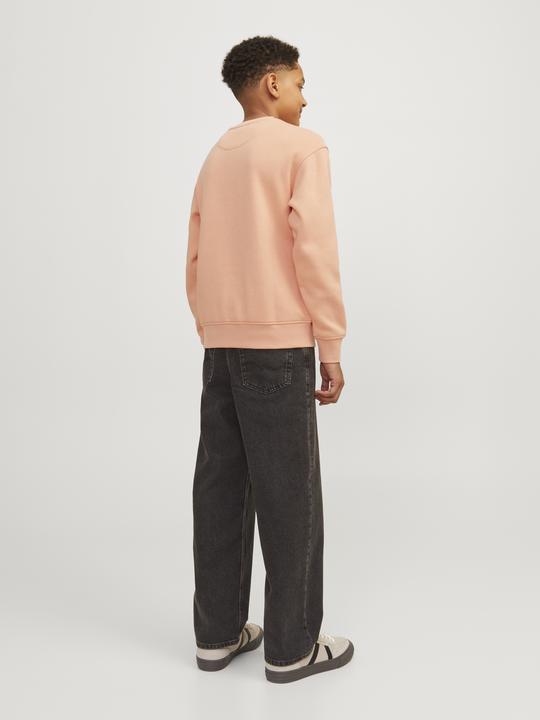 Produktbild Jack & Jones Jorvesterbro Sweat Crew Neck Bn Mni (122)