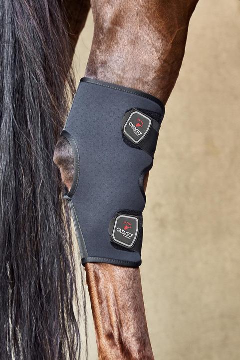 Actual product image Catago Fir-Tech