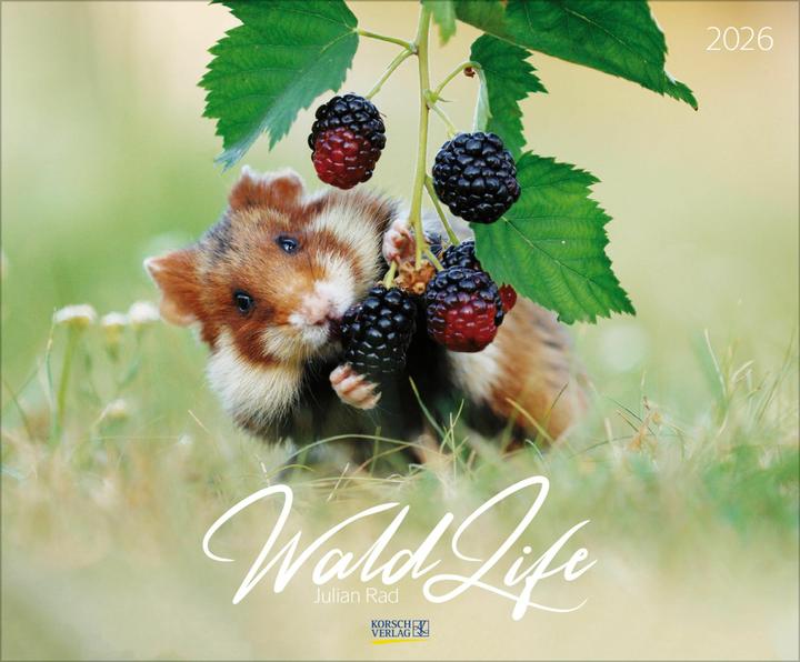 Produktbild WaldLife 2026 (45,5 x 55 cm)