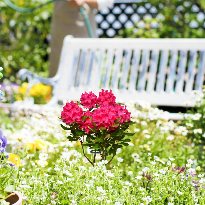 Produktbild Relaxdays Cocktailshaker (Cocktail Shaker)