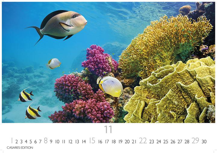 Actual product image Unterwasserwelten 2026 S 24x35cm (24 x 35 cm)