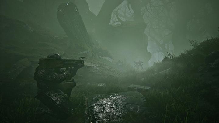 Actual product image Playstack Mortal Shell (PS4, EN)