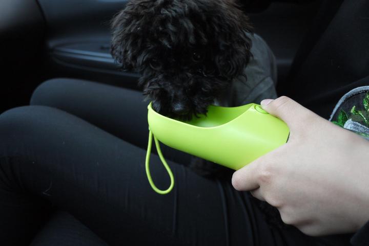 Produktbild Petkit On The Go