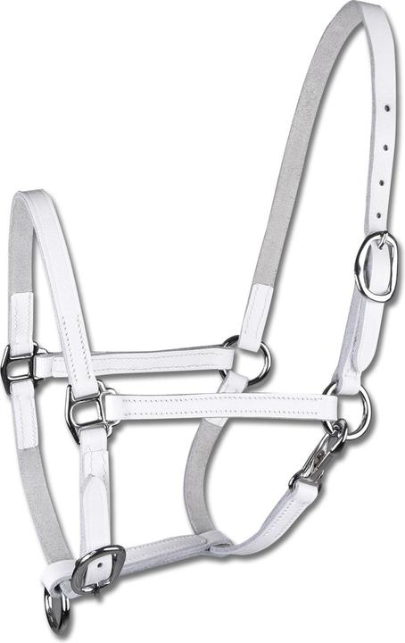 Actual product image Star Leather foal show halter