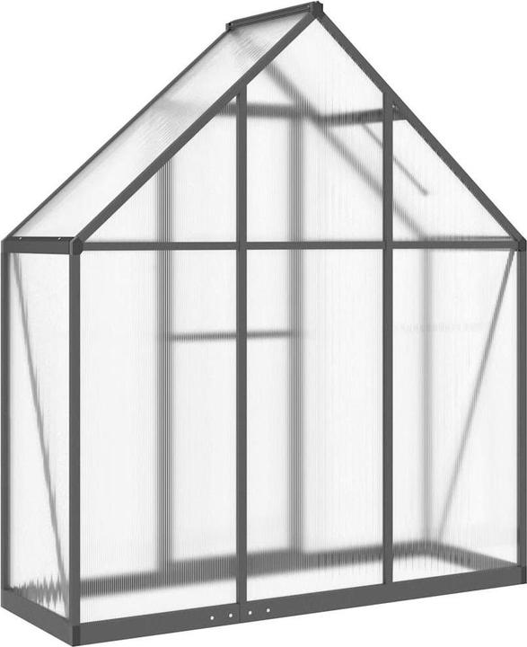 Immagine prodotto vidaXL Gewächshaus