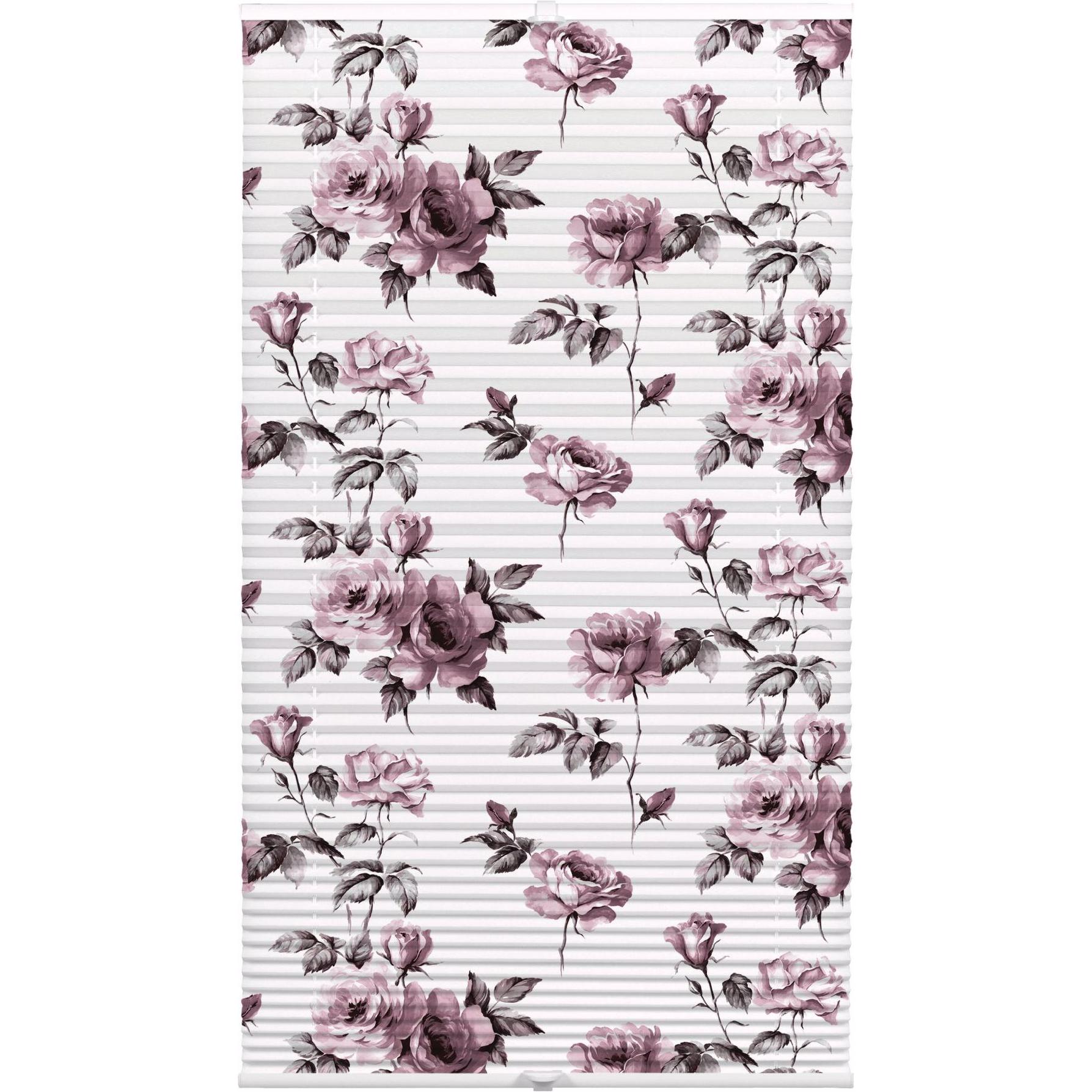 Wohnidee Kollektion, Rollo, Plissee mit 2 Bedienschienen (60 x 130 cm)