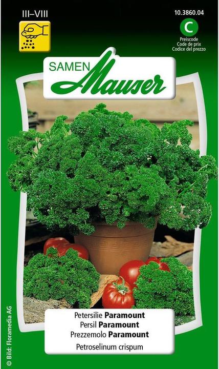 Samen Mauser Petersilie Paramount (Kräutersamen)