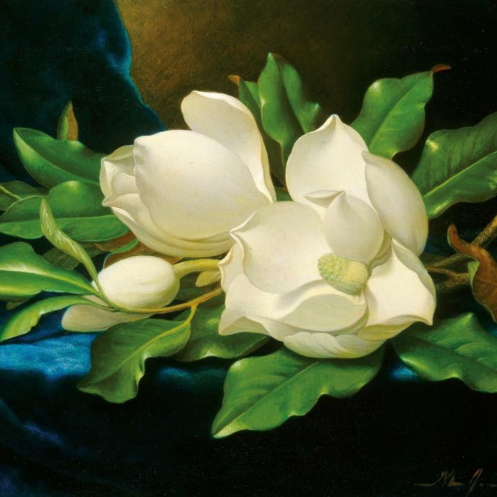 Produktbild Flowers in Art 2026