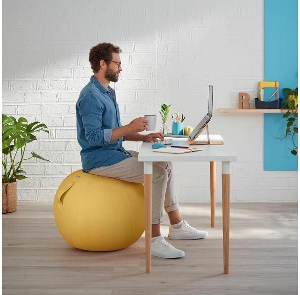 Image du produit Leitz Ballon-siège Ergo Cosy Active (65 cm)