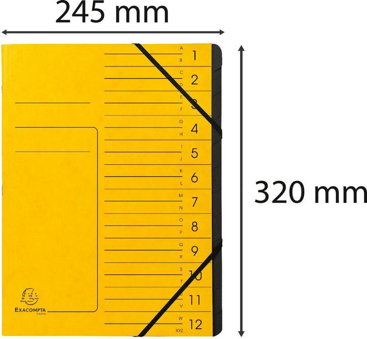Actual product image Exacompta Stapled file folders (A4, 1x)