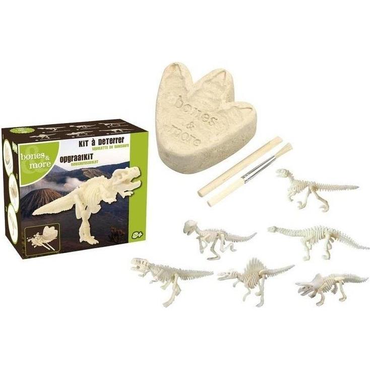 Magni Saurier Skelett (11/2006)