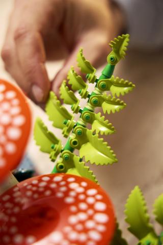 Produktbild LEGO 11505 Waldpilze (LEGO Botanicals)