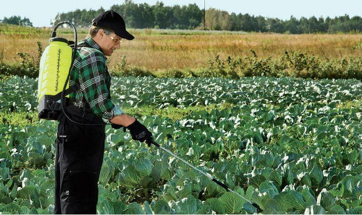 Produktbild Marolex Rückenspritze TITAN (12 l)