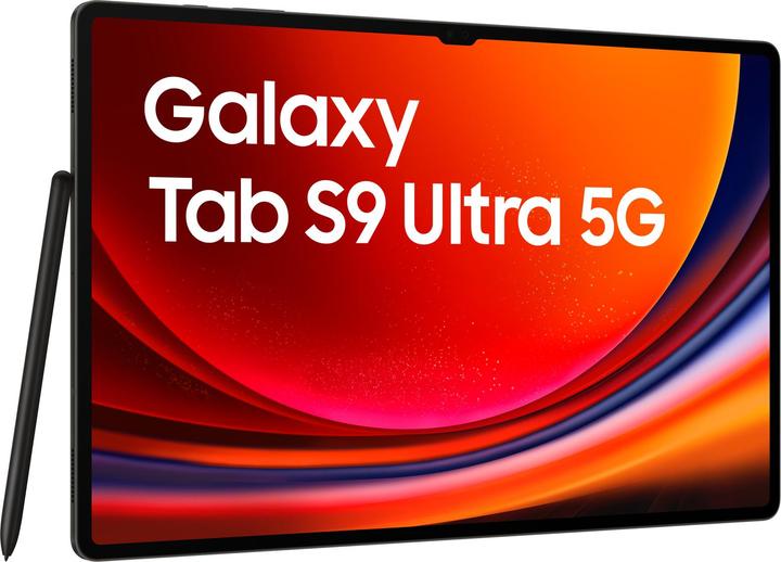 Actual product image Samsung Galaxy Tab S9 Ultra (5G, 14.60", 256 GB, Graphite grey)