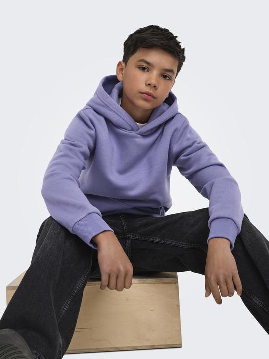 Produktbild Only & Sons Osjceres Hoodie Swt Noos (170, 176)
