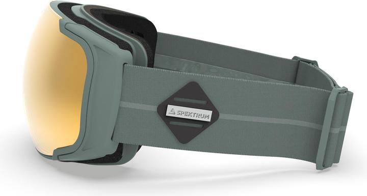 Actual product image Spektrum Spectrum Sylarna Bio Premium 2023 ski goggles