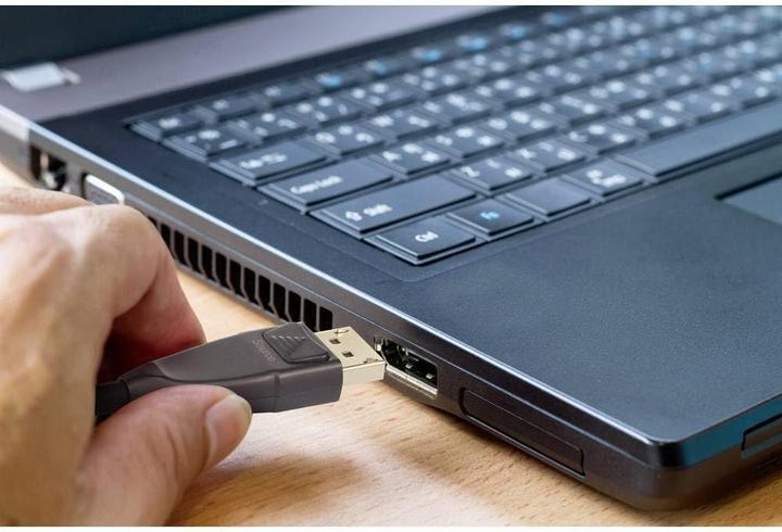 Image du produit Renkforce Câble de connexion DisplayPort actif (30 m)