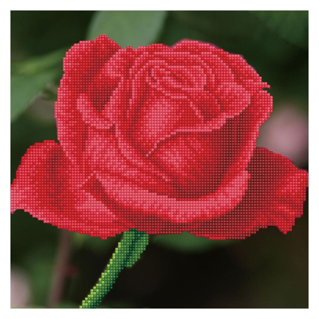 Dante Rose Bud with Frame (DDK5.038)