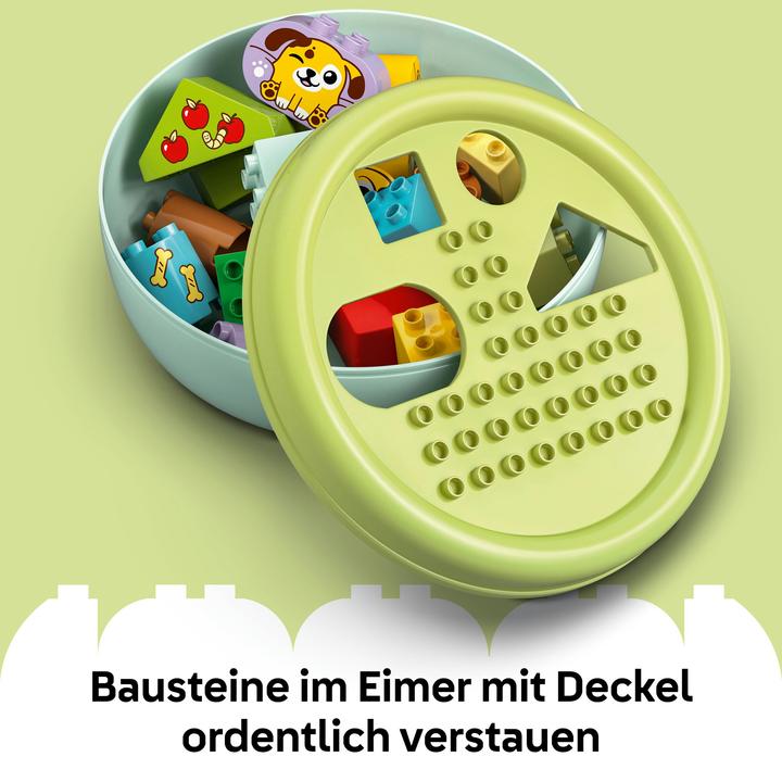 Actual product image LEGO Formsortierer: Welpenhaus