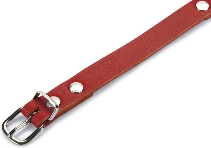 Produktbild Beeztees BZ LEDERHALSBAND ROT 47X18 (47, Hund, Allgemein)