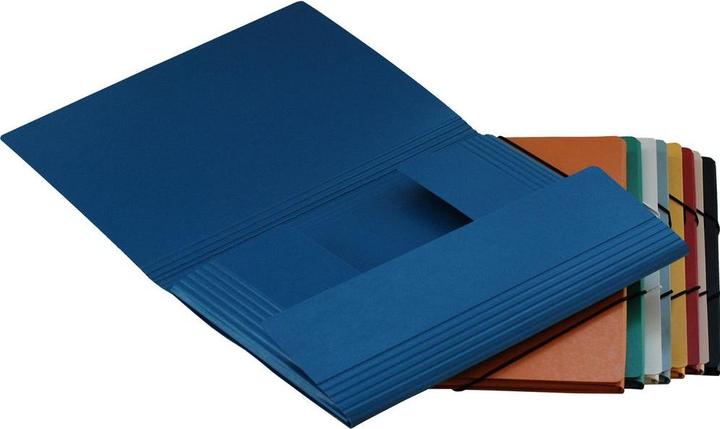 Produktbild Erola Momentordner (A4, 1x)