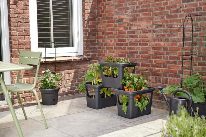 Productafbeelding Elho Anzuchttopf (50.90 x 35.10 x 35.70 cm)