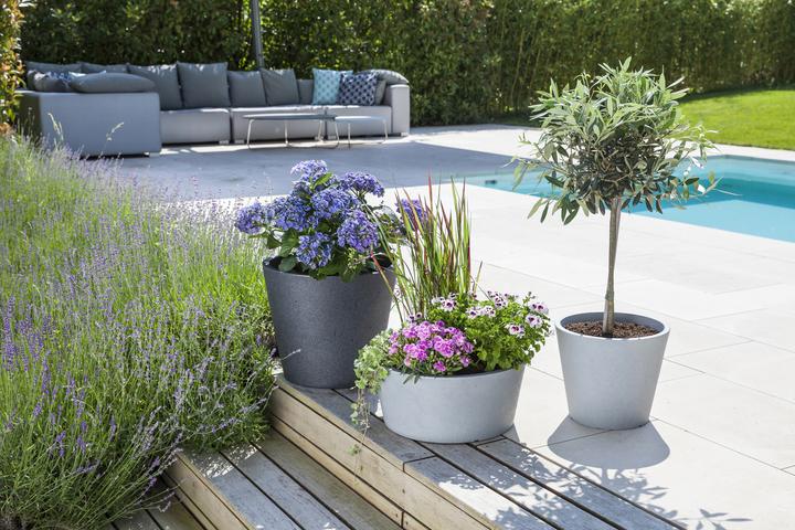 Produktbild Scheurich C-Cone (28.50 x 24.30 cm)