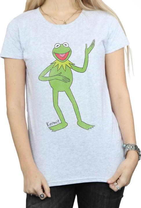 Produktbild Gildan Womens/Ladies Classic Kermit Heather T-Shirt (XL)